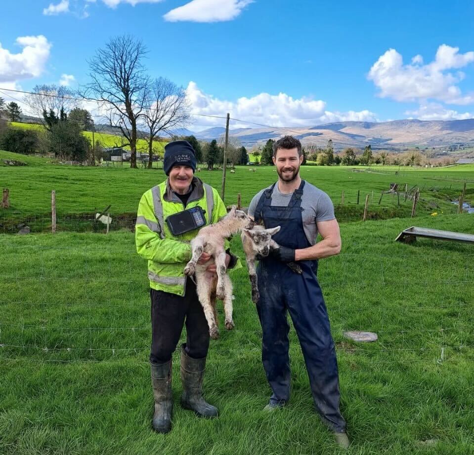 The sheep shepherd and lambs in the field- glyn egan