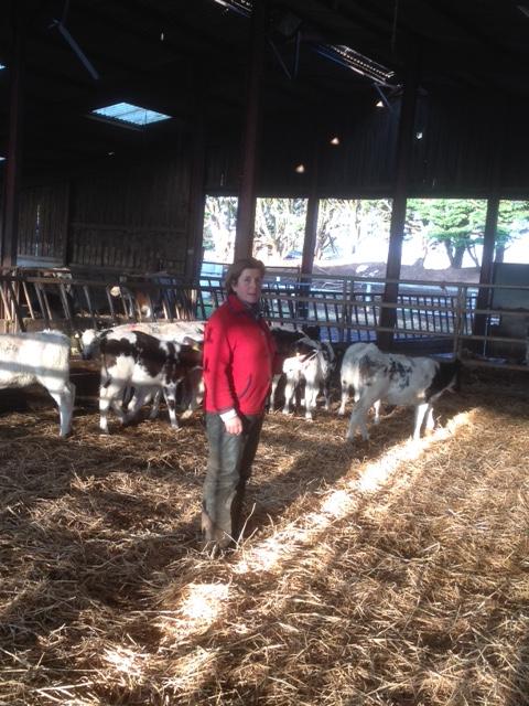 Jackie Barrow farmer in shed with calves