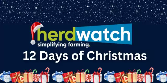 Herdwatch 12 Days of Christmas