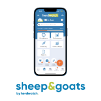 sheep and goats screen