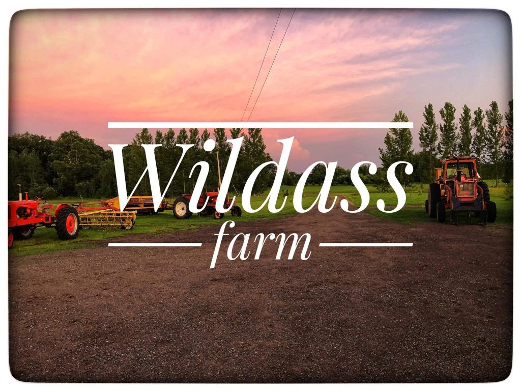 WildAss Farms: A Tale of Resilience, Family, and Farming Innovation
