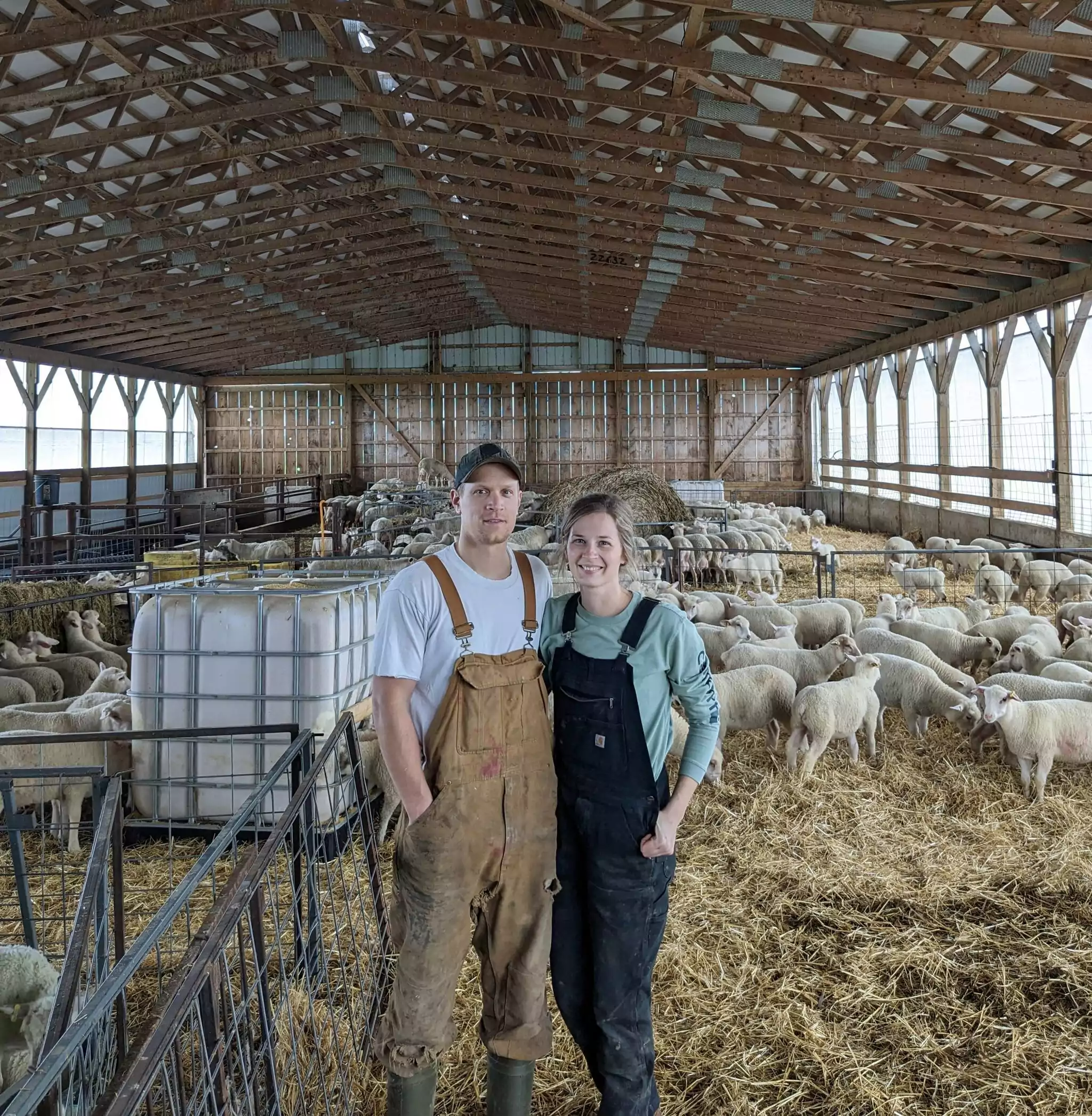 couple in a sheep shed