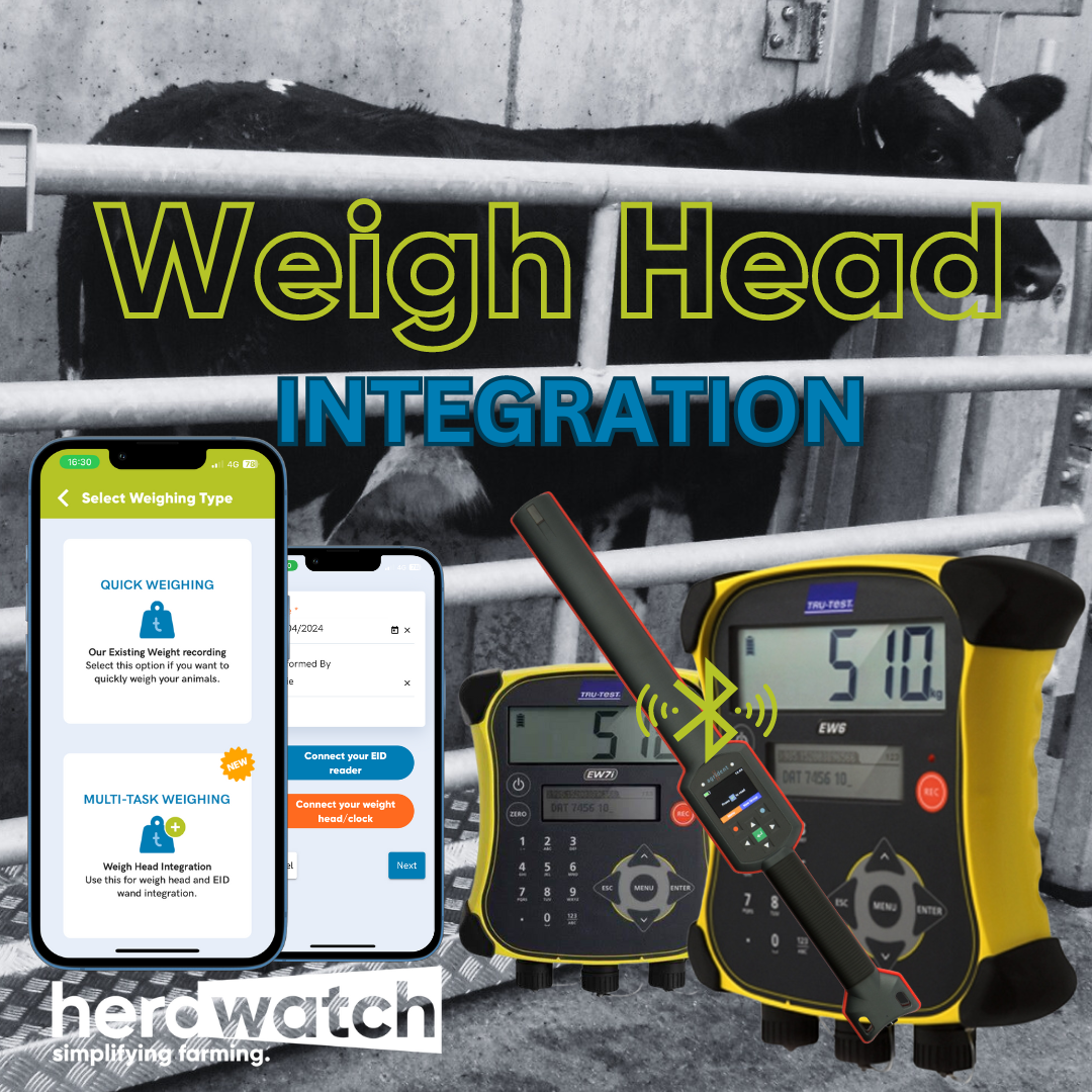weigh head integration