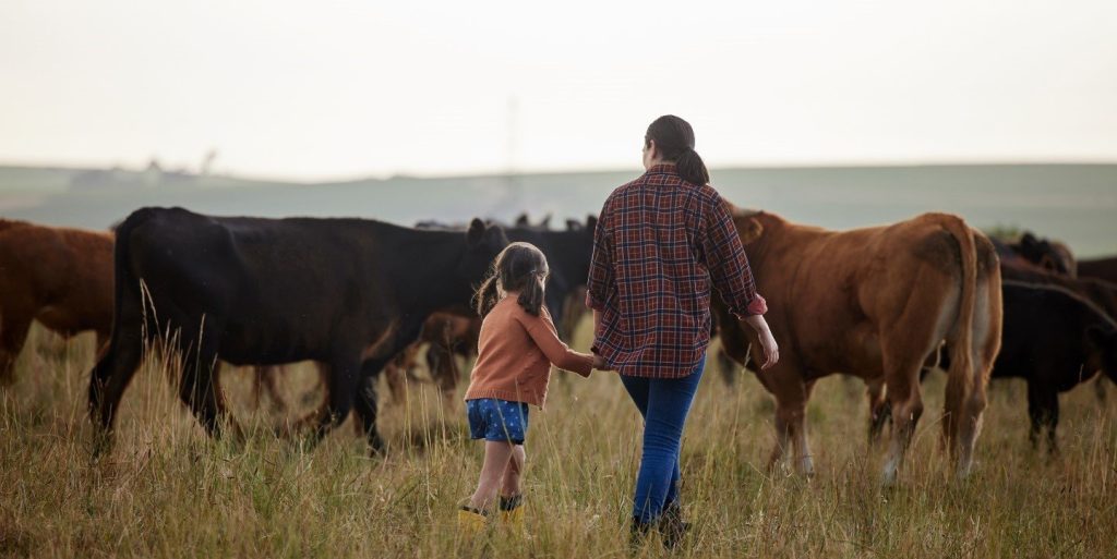 Succession Planning in Ranching: The Role of Record-Keeping for Passing Down Your Legacy