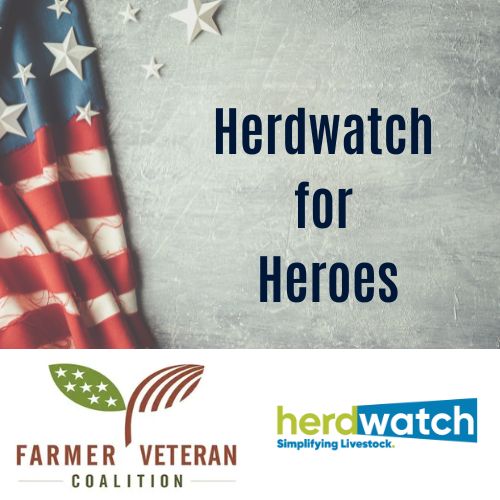 Herdwatch and Farmer Veteran Coalition Launch ‘Herdwatch for Heroes’ Program to Support Veteran Farmers and Ranchers
