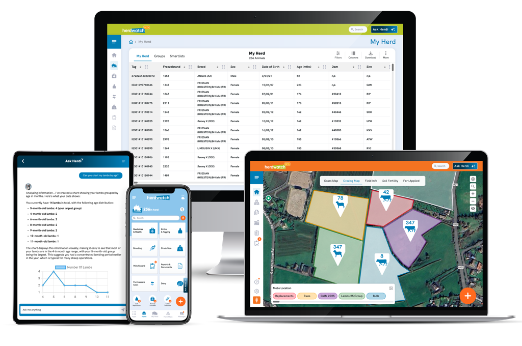 Cattle records tracked using livestock management app