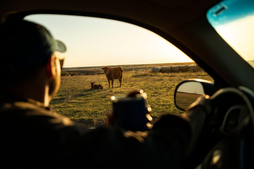 Start the Year with Better Herd Records