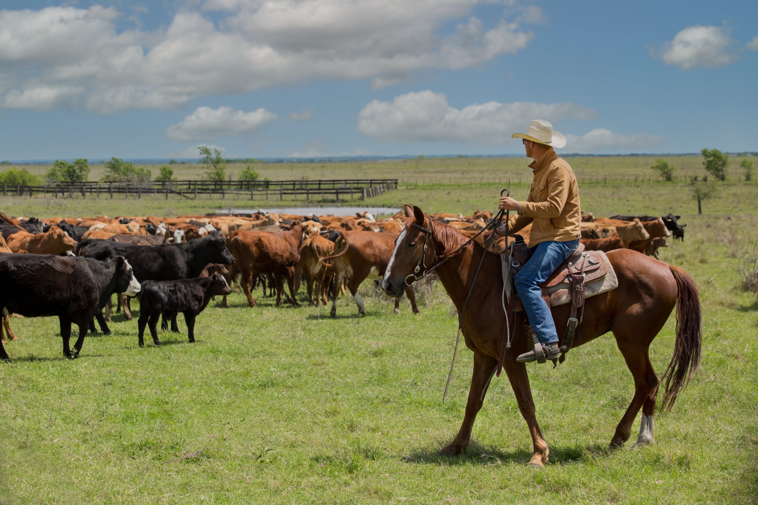 Herdwatch | 