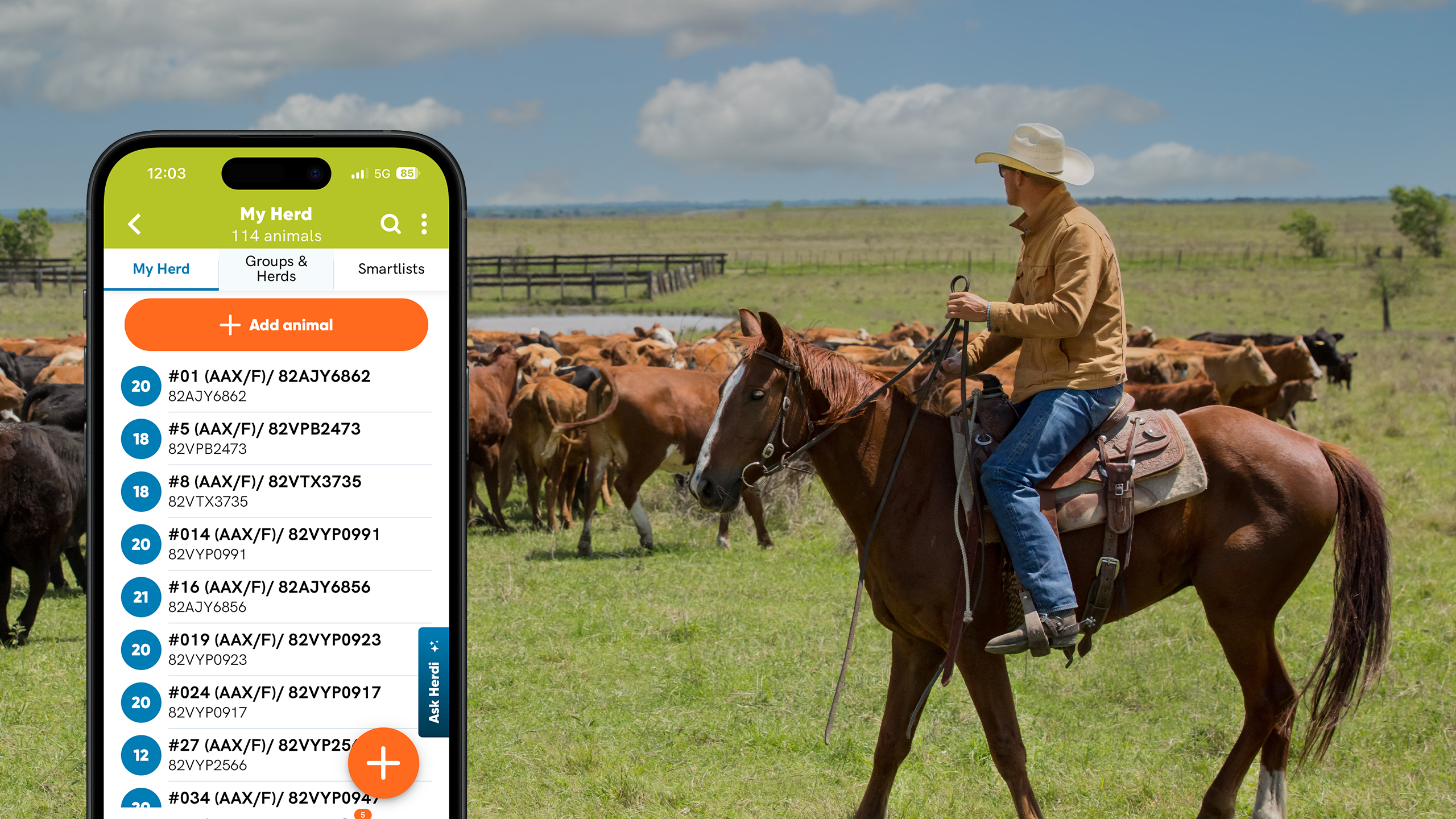 Herdwatch 