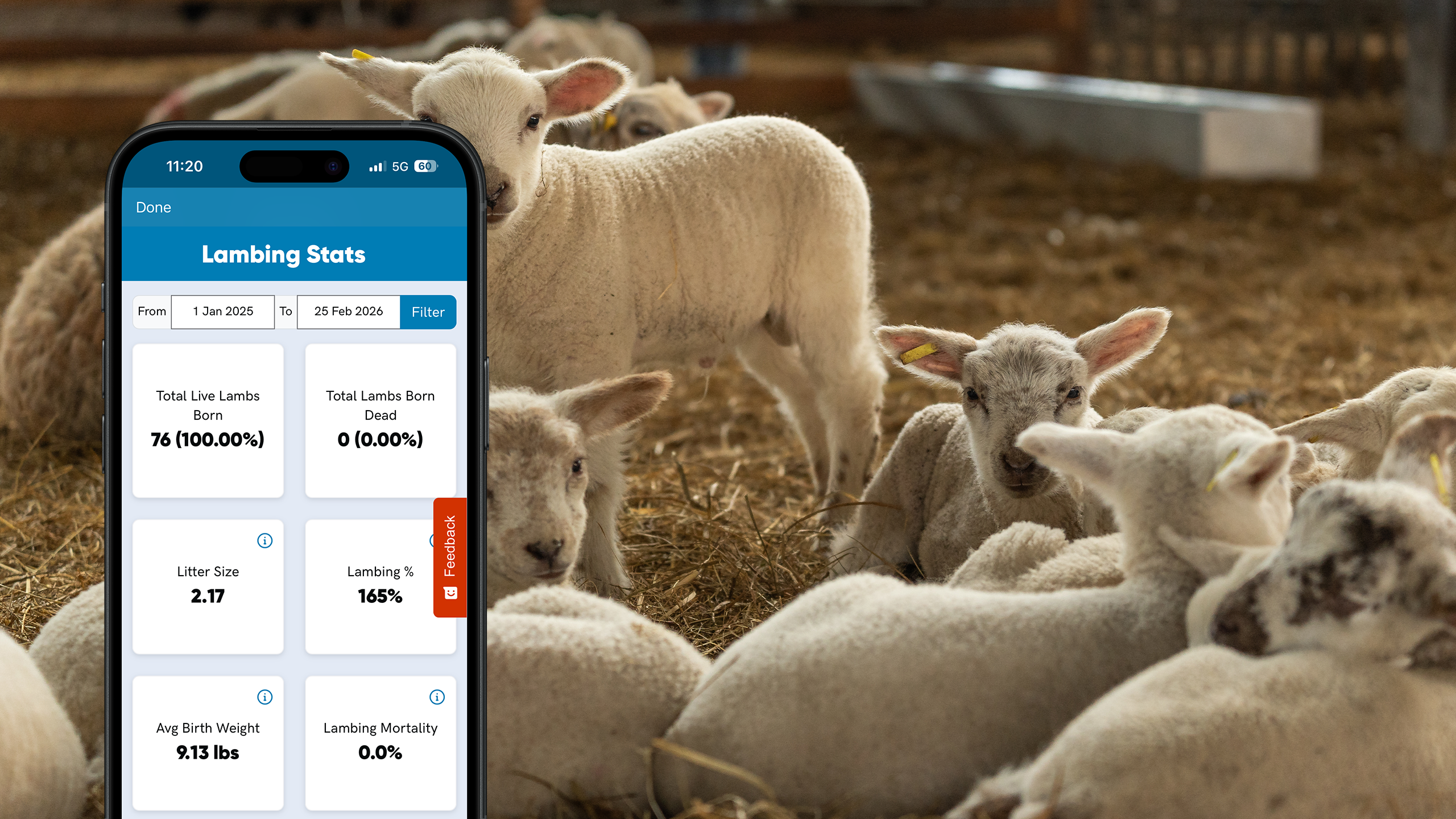 Herdwatch 