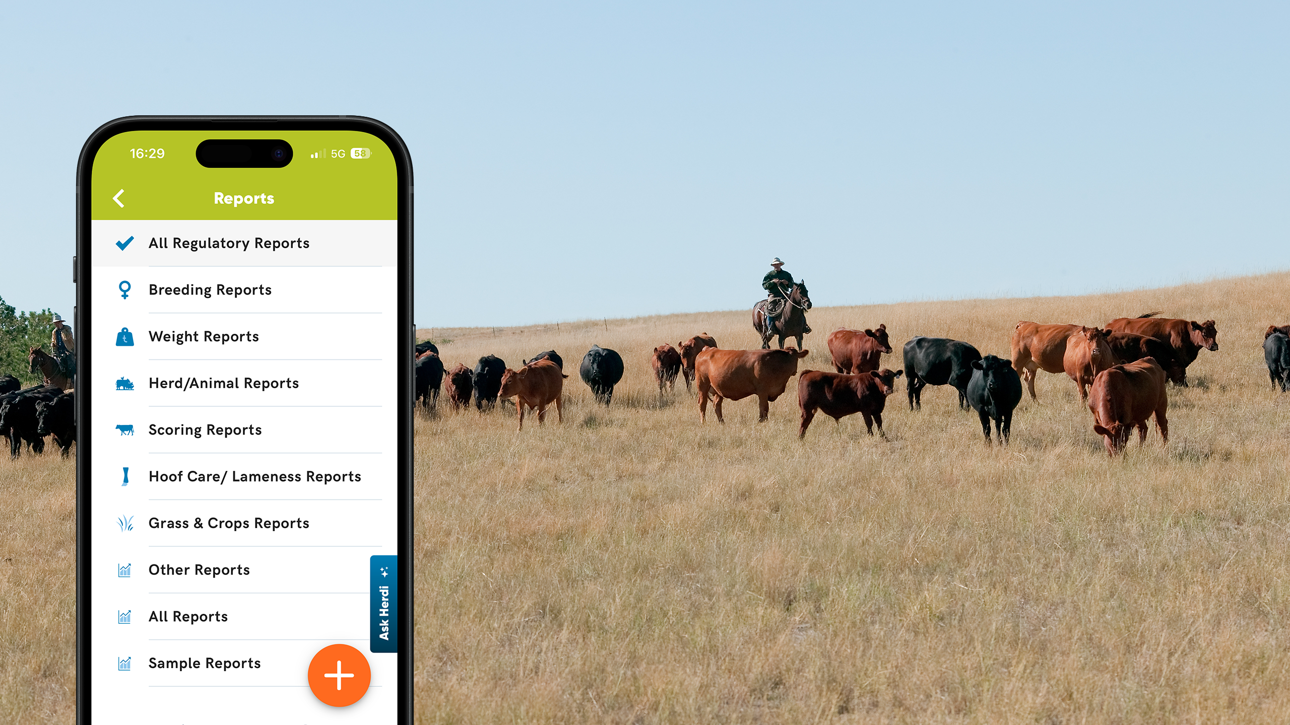 Herdwatch 