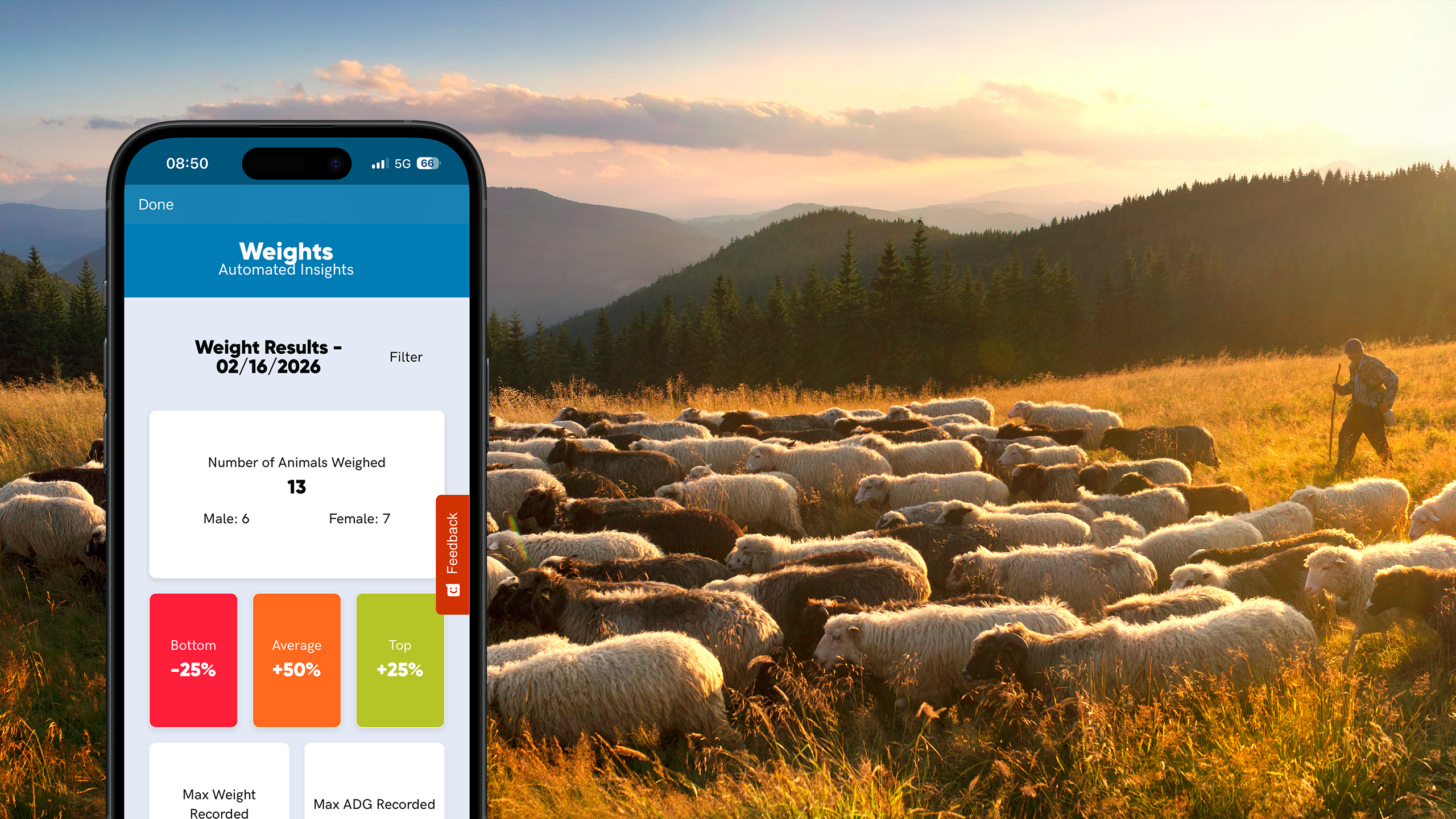 Herdwatch 