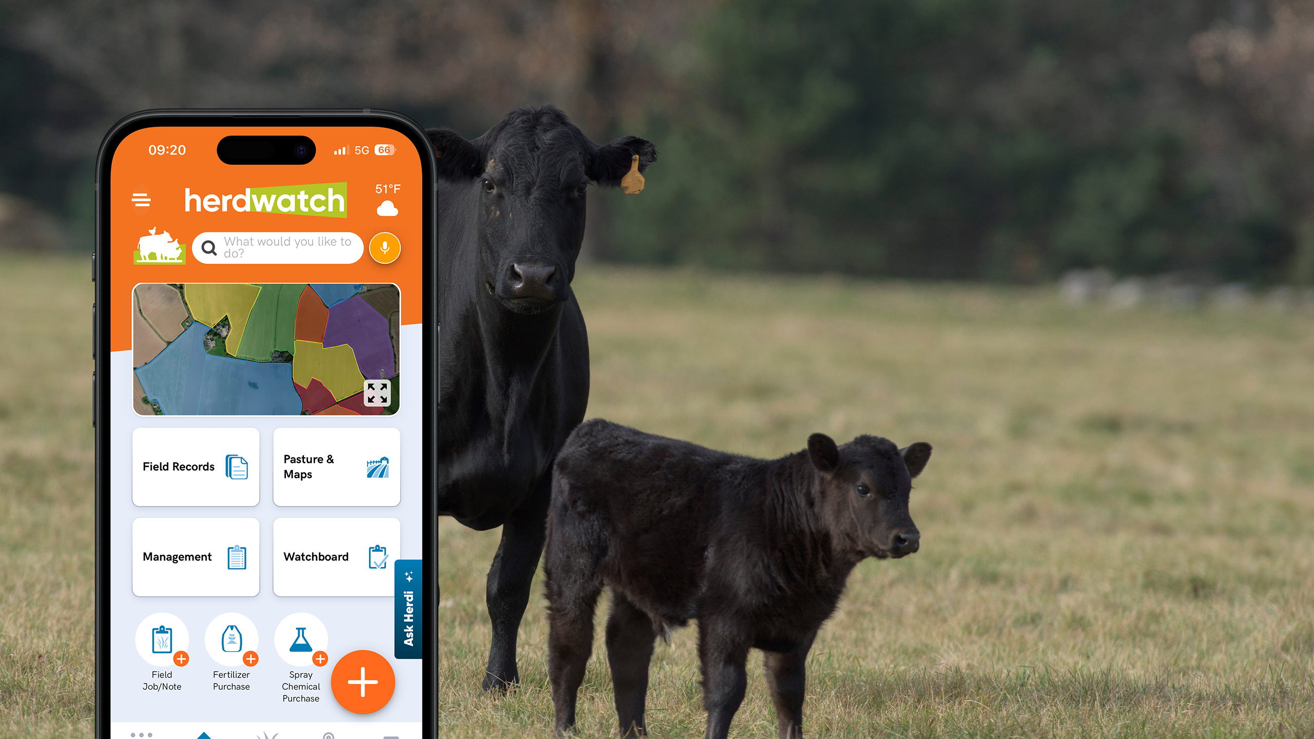 Herdwatch 