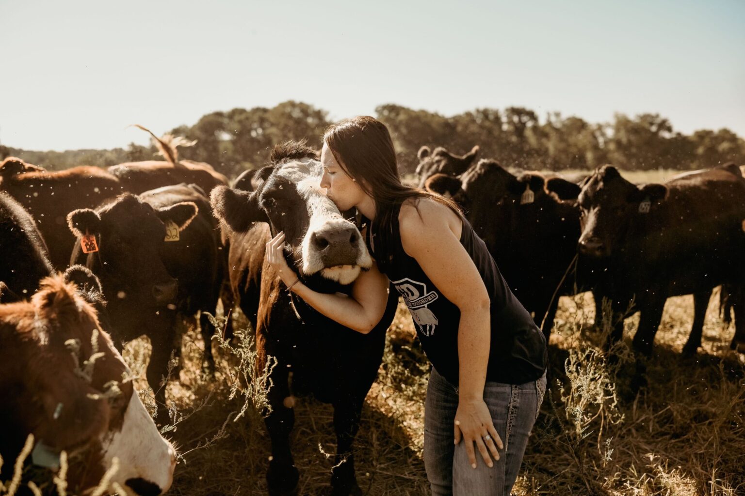 Herdwatch User | 